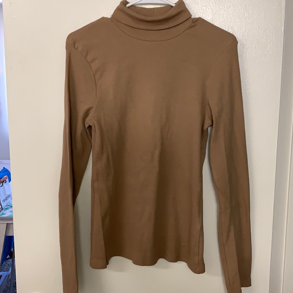 Brown Turtleneck